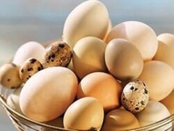 как правильно варить яйца вкрутую