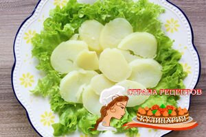 salat-s-rediskoy-sakura-06