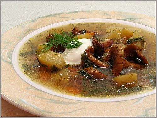 Суп из свежих грибов простой рецепт 