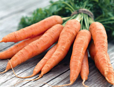 Как хранить морковь зимой ?