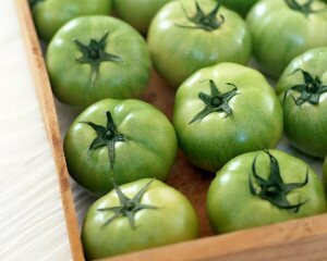 как сохранить зеленые помидоры